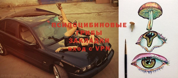 дживик Алексин